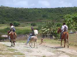 Riders on the trail to Monk's Hill