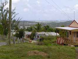 Sea View Farm