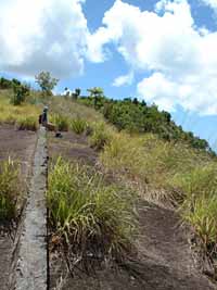 Joy at water catchment on Signal Hill