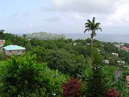 View from hotel, Castries, St. Lucia