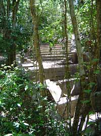 Wallings dam spillway