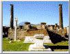 Another view of the forum