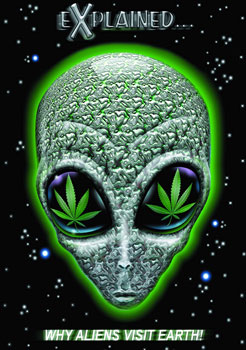 Don't freak, it's only a green growing thing, an herb if you will...RELAX!!!