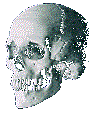 I am the way back to Skullhaven Central!