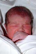 Csilla kb. t�z percesen