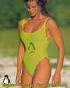 elle1-penguinb.jpg (122483 bytes)