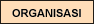 Organisasi
