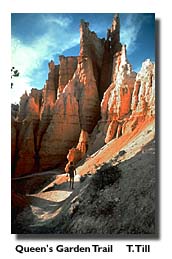 Queen's Garden Trail