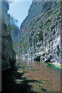 Inside Paradise Canyon, near Pea Miller, Qro.