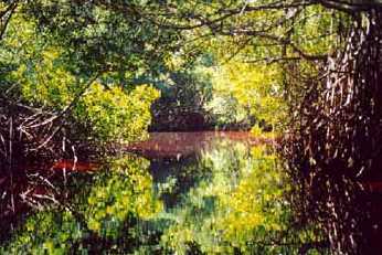 Parque Nacional de Celestún, Yucatán.