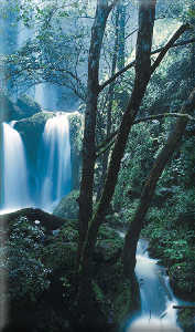 'El Salto', the first of a long string of waterfalls at San Pedro Escanela, Qro.