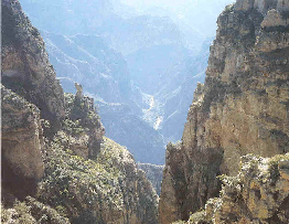 Petroglifos de Narihua, Coah.