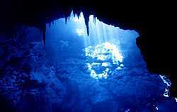 Certificaci�n de espeleobuceo