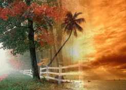 Blending two





    scenic images