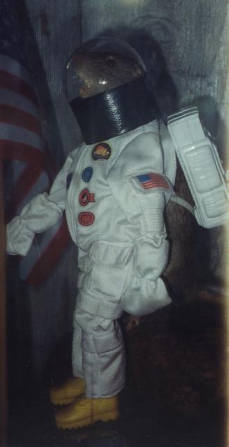 Space rat