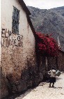 Pisac (Per�)