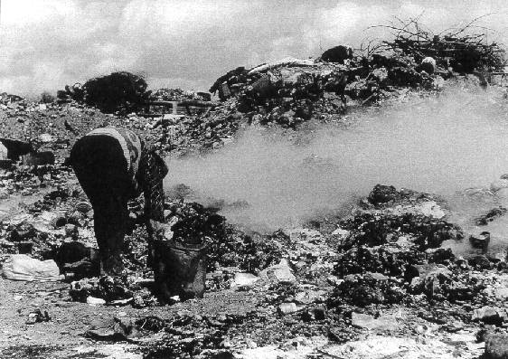 Basural V / Rubbish dump V