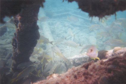 Cayo Blanco