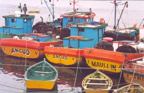 Puerto de Ancud