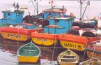 Isla de Chiloe