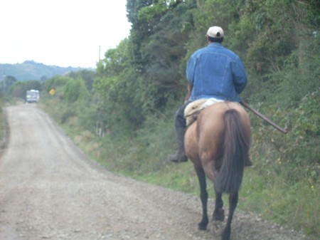 Camino a Pu�ihuil