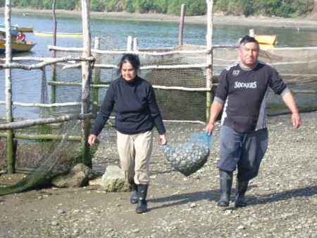 Quetalmahue