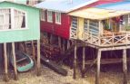 Isla Mechuque
