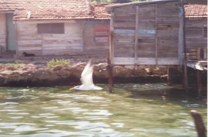 Bahia de Cienfuegos
