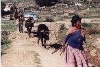 Copacabana - Bolivia