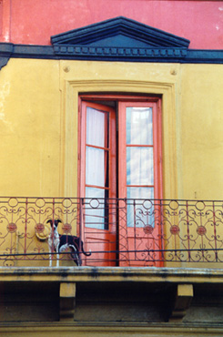 El mast�n de La Boca