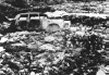 Peugeot 404 (99Kb)
