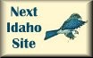 Next Idaho Site
