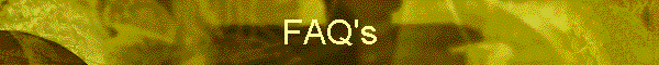 FAQ's