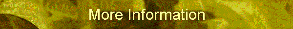 More Information