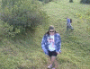 067.gif (259745 bytes)