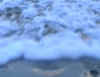 3067.jpg (35188 bytes)