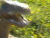 Ep1Pic37.jpg (16862 bytes)