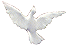 Dove