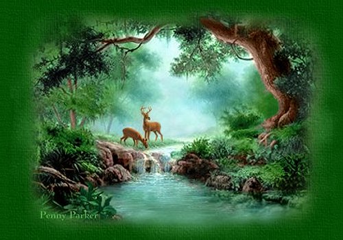 Forest