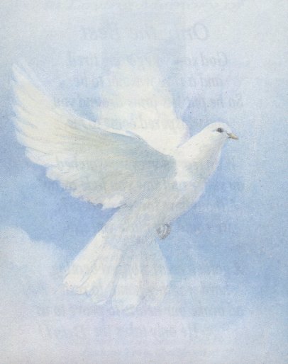 Front of funeral card for Rose Ella Rogers