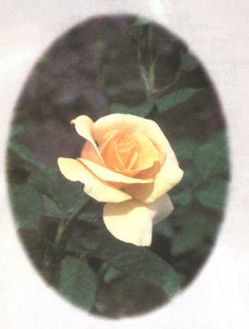 Front of funeral card for Ruby Alice Houser