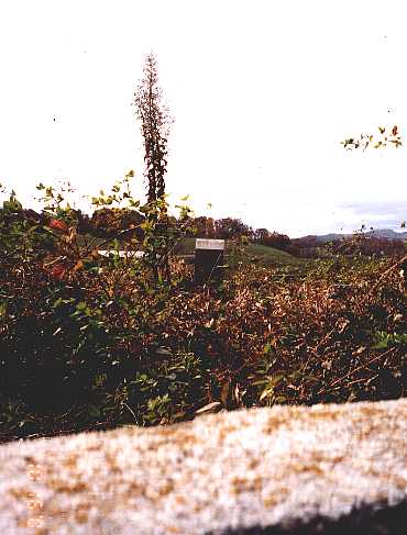 Parsons Cemetery 2001
