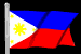 Waving Phil Flag