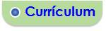 Curr�culum actualizado
