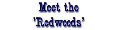Meet the Redwoods!