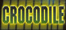 Crocodile!