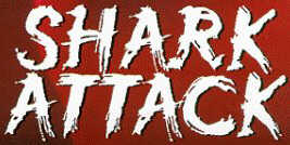Shark Attack!