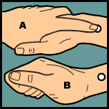 Diagram 7