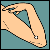 Diagram 8