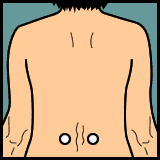 Diagram 25